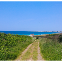 Chemin derrière la maison menant à la plage de Gwendrez