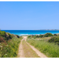 Chemin derrière la maison menant à la plage de Gwendrez