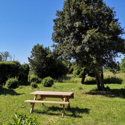 Jardin